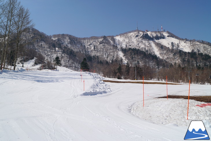 サッポロテイネ 現在積雪 215cm。山麓まで思いっきり滑れます！